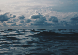 Water waste and the paper industry: What makes pulp paper production such thirsty business?